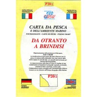 CARTA NAUTICA SEA WAY P 20.2